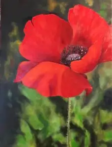 Art Instructor and Creative Coach in the Washington-DC area Elisabeth Vismans