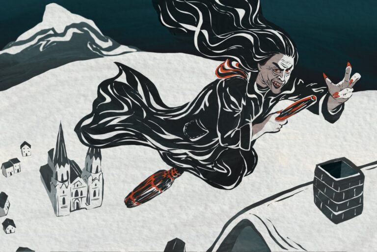 An old, haggard hag with wild hair, ragged clothes, and sometimes an iron nose or a hidden knife under her skirts flying on a broom over snowy mountains.